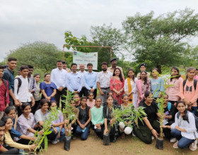 Ek Ped Maa Ke Naam - Bamboo tree plantation